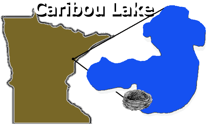 Caribou Lake, MN Weather Conditions